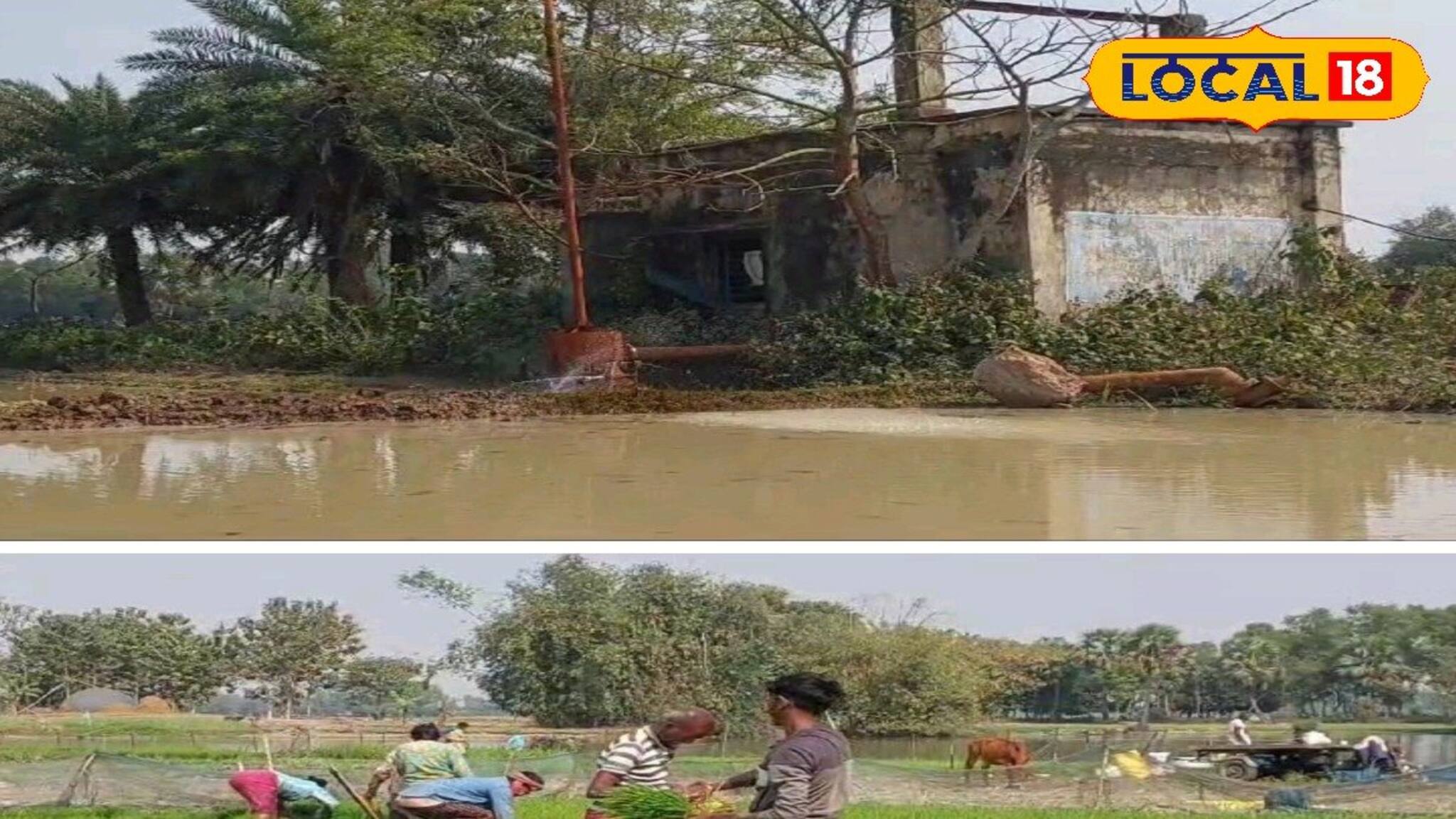 বোরো ধান চাষ করতে নেমে বিপাকে চাষিরা! সমস্যার কথা জানেই না প্রশাসন