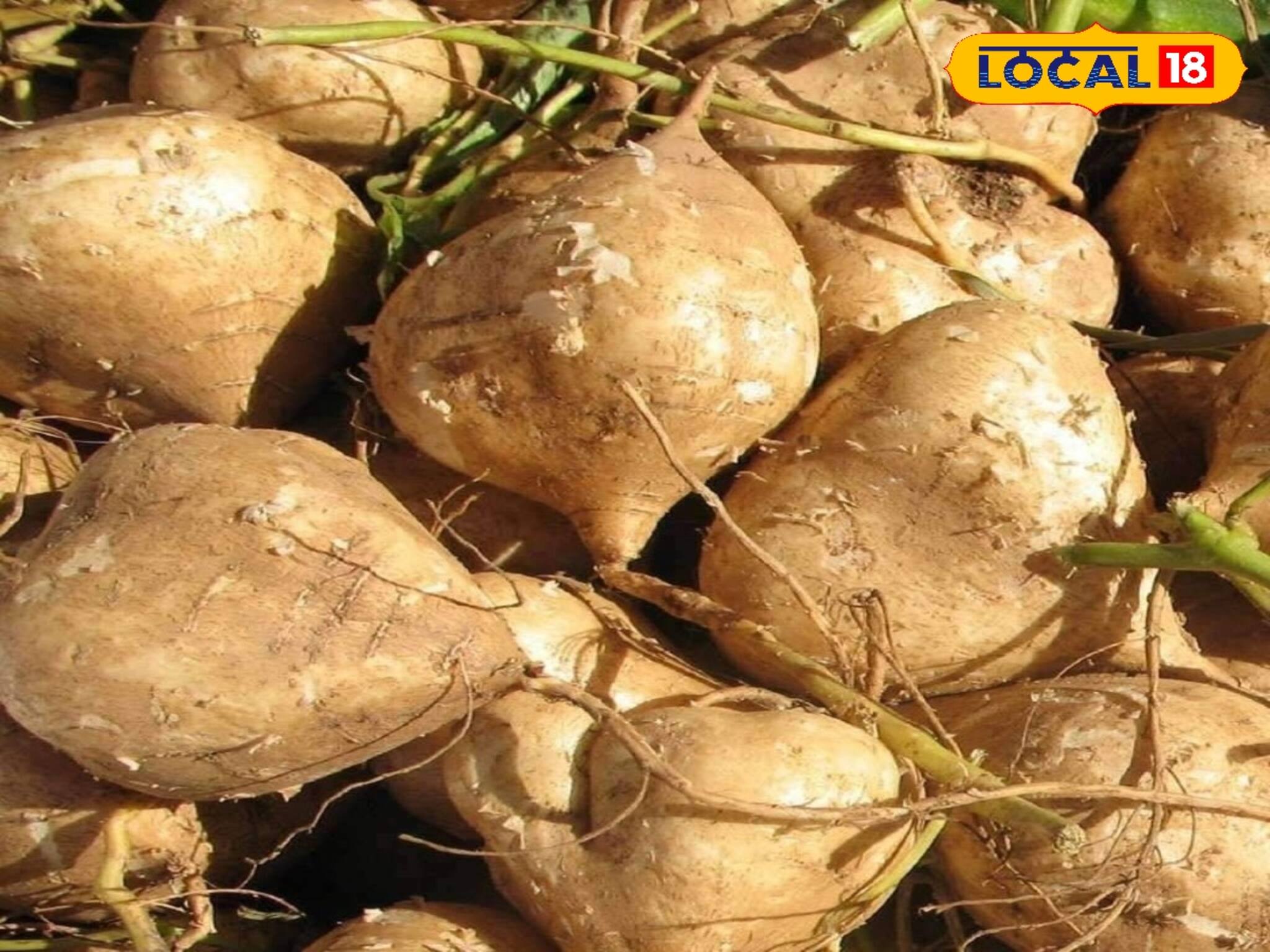 ডায়াবেটিসের মক্ষোম দওয়াই এই ফল! কন্ট্রোলে থাকবে সুগার লেভেল, শরীর থাকবে ফুরফুরে!