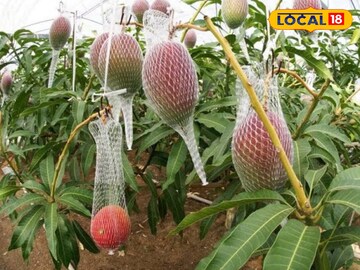 বিশ্বের
