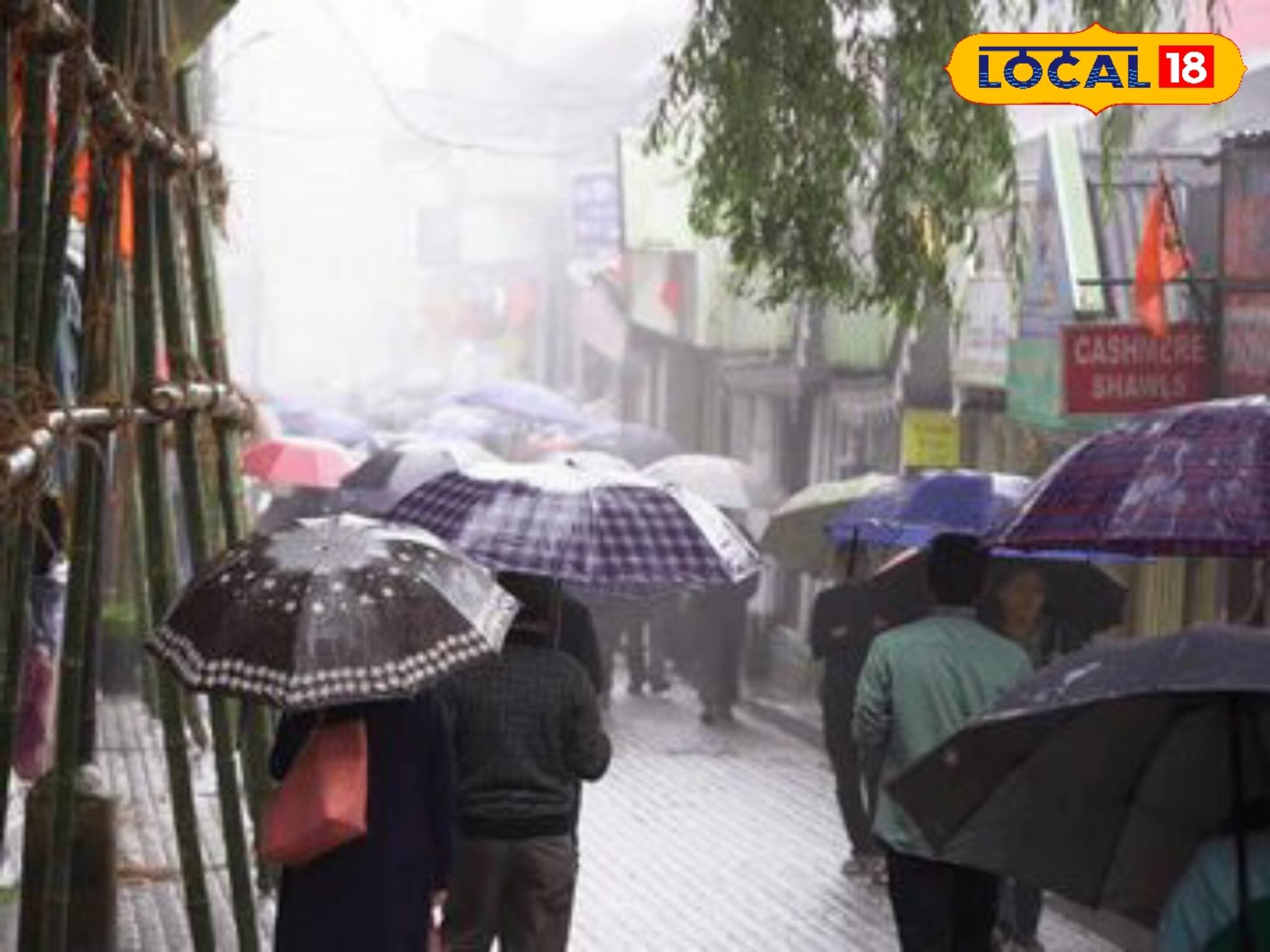 ঝমঝমিয়ে বৃষ্টির সঙ্গে হাড় কাঁপানো ঠান্ডা! কোন কোন জেলায় ভেল্কি দেখাচ্ছে আবহাওয়া?