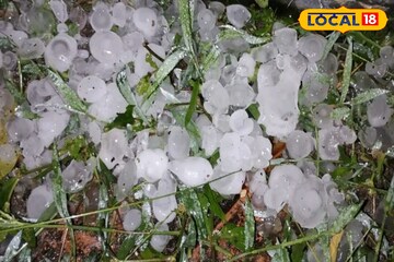 চারদিক ধু ধু সাদা...হঠাত্ ঝড়, শিলাবৃষ্টি! ব্যাপক ক্ষতি দক্ষিণবঙ্গের এই এলাকায় চারদিক ধু ধু সাদা...হঠাত্ ঝড়, শিলাবৃষ্টি! ব্যাপক ক্ষতি দক্ষিণবঙ্গের এই এলাকায়