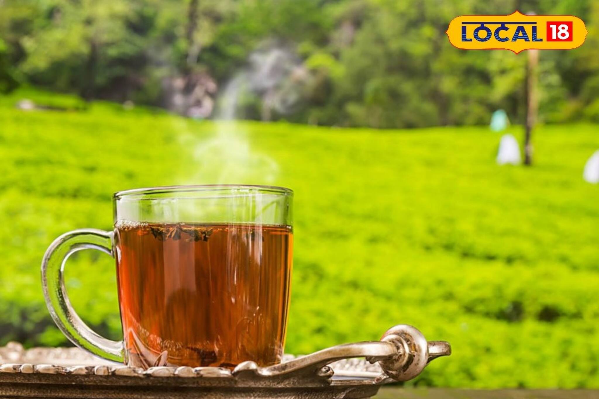 দার্জিলিং চা কিনতে গিয়ে ঠকছেন! 'এই' বিশেষ পদ্ধতি অবশ্যই মানুন, কোনওদিন ঠকবেন না