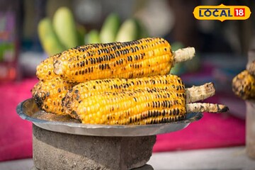 ভুট্টা কমায় কোলন ক্যানসারের ঝুঁকি,স্মৃতিশক্তি করে 'কম্পিউটার'-এর মতো ভুট্টা কমায় কোলন ক্যানসারের ঝুঁকি,স্মৃতিশক্তি করে 'কম্পিউটার'-এর মতো