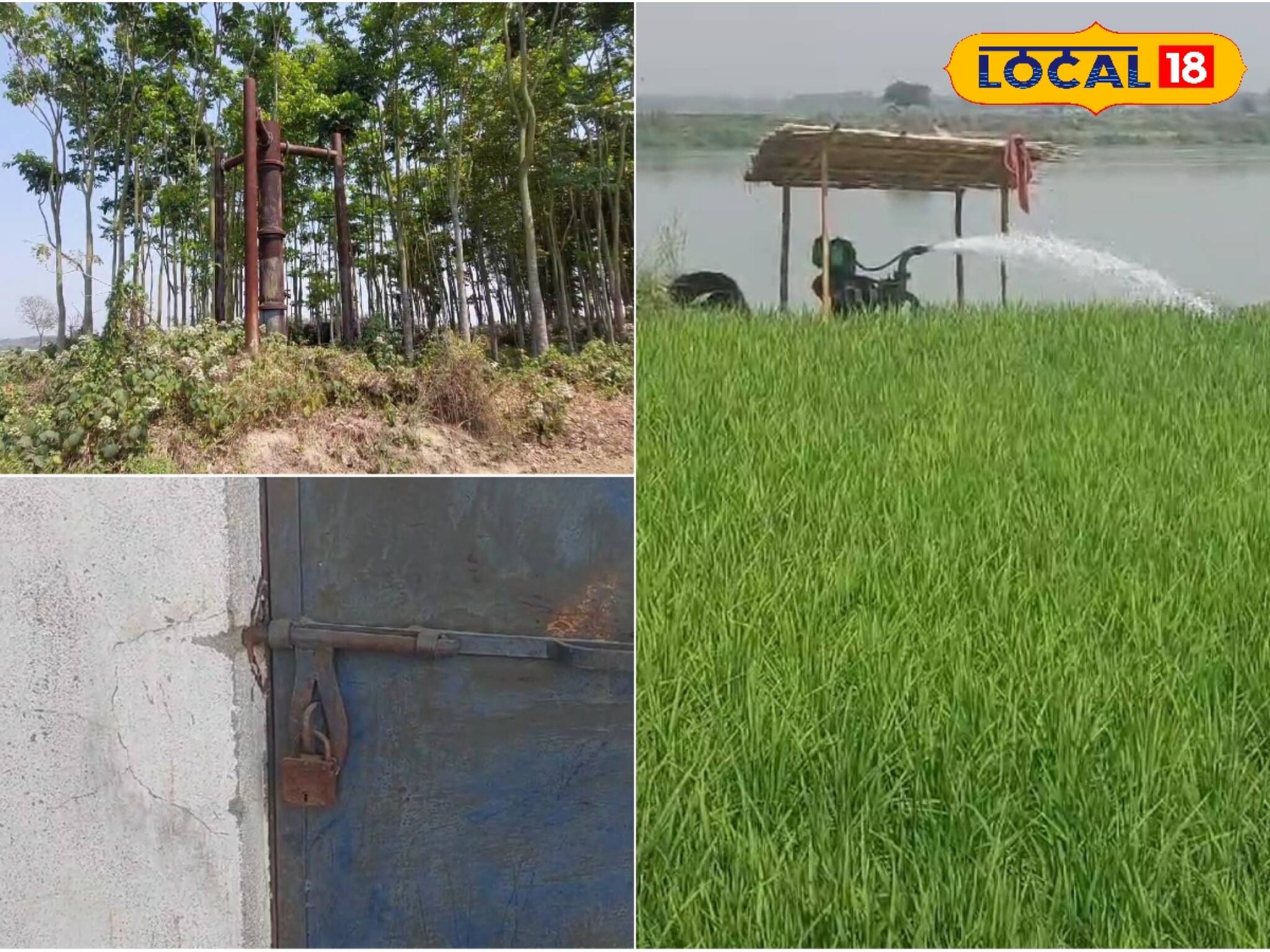 প্রশাসনের উদাসীনতা! 'ধানের গোলা'য় মাথা ঠুকছেন চাষিরা, খুঁজে পাচ্ছেন না কূলকিনারা