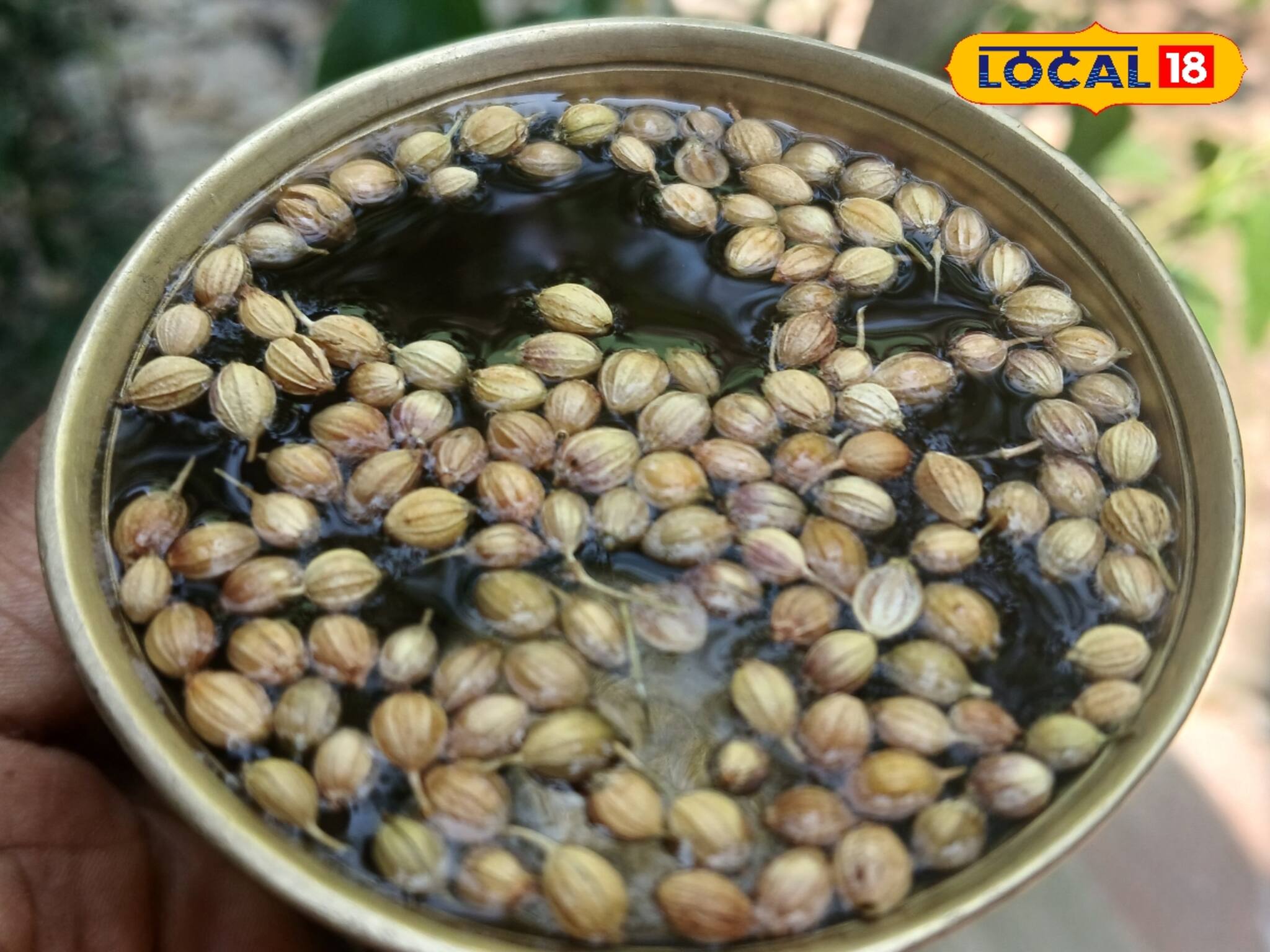 এক চামচেই 'ভ্যানিশ'! মৌরি-মিছরিকে দশ গোল দেবে রান্নাঘরের এই 'জাদু মশলা', শরীর বরফ ঠান্ডা