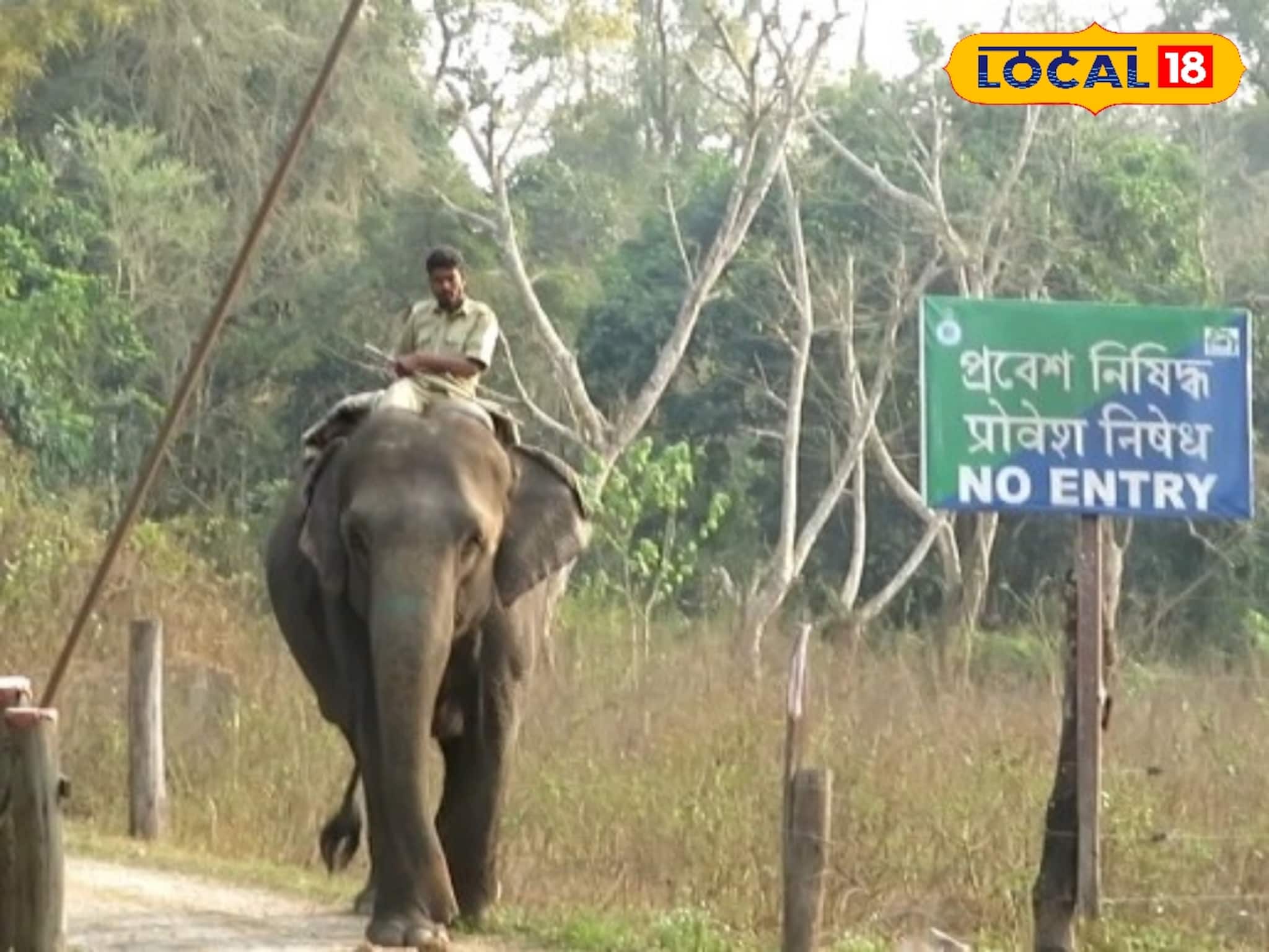 গরুমারার গর্ভবতী কুনকি হাতি রামি জঙ্গলে চলে গিয়েছে, খোঁজে বন দফতরের তল্লাশি