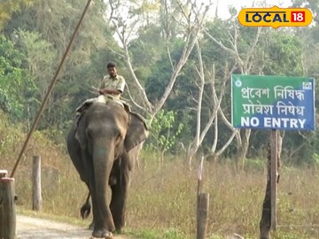 কুনকি হাতি নিখোঁজ  কুনকি হাতি নিখোঁজ
