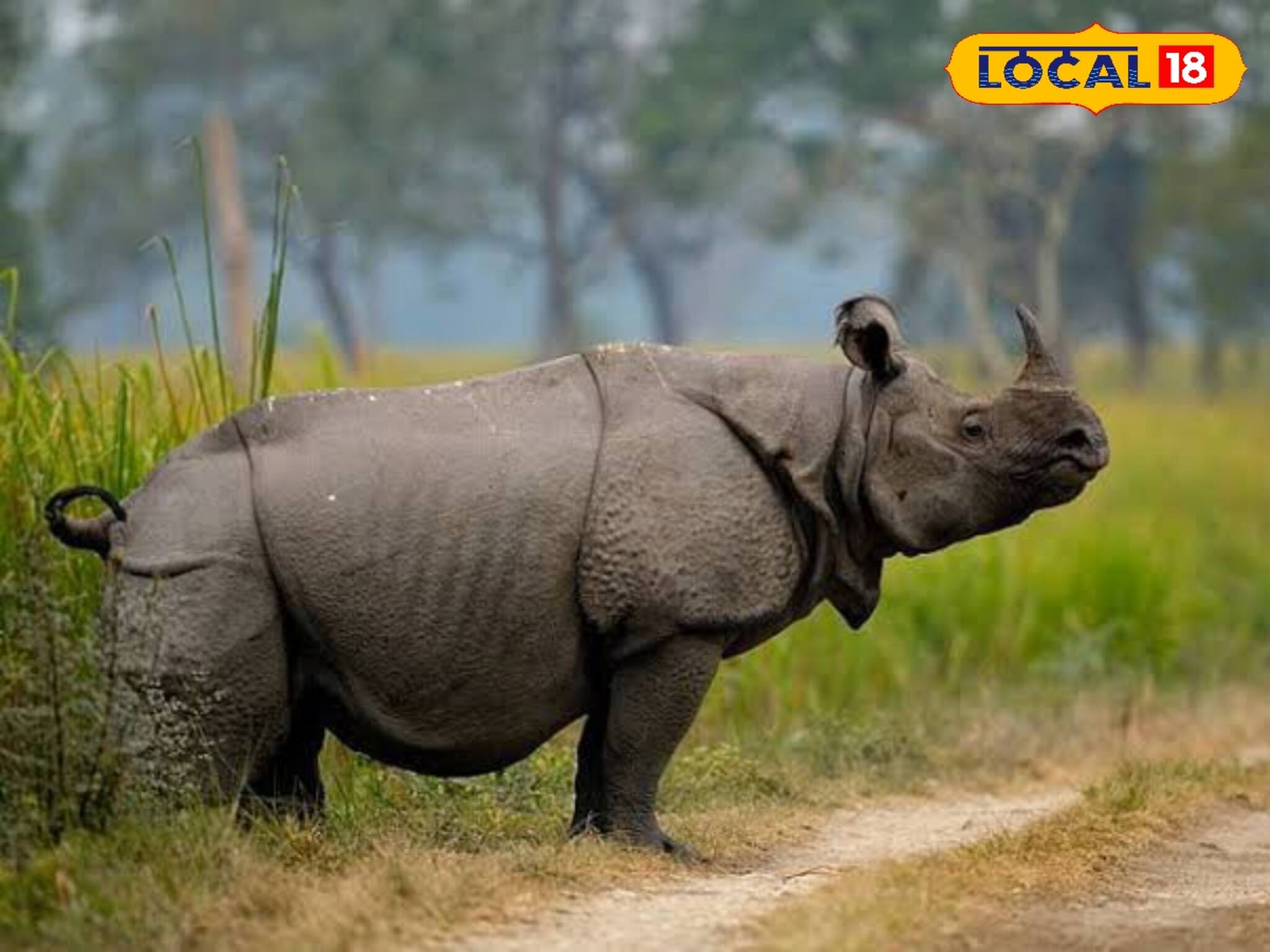 গন্ডারের সংখ্যায় দেশে দ্বিতীয় বাংলার এই অভয়ারণ্য! সংখ্যা বাড়ল অনেকটাই, বাড়ল চিন্তাও