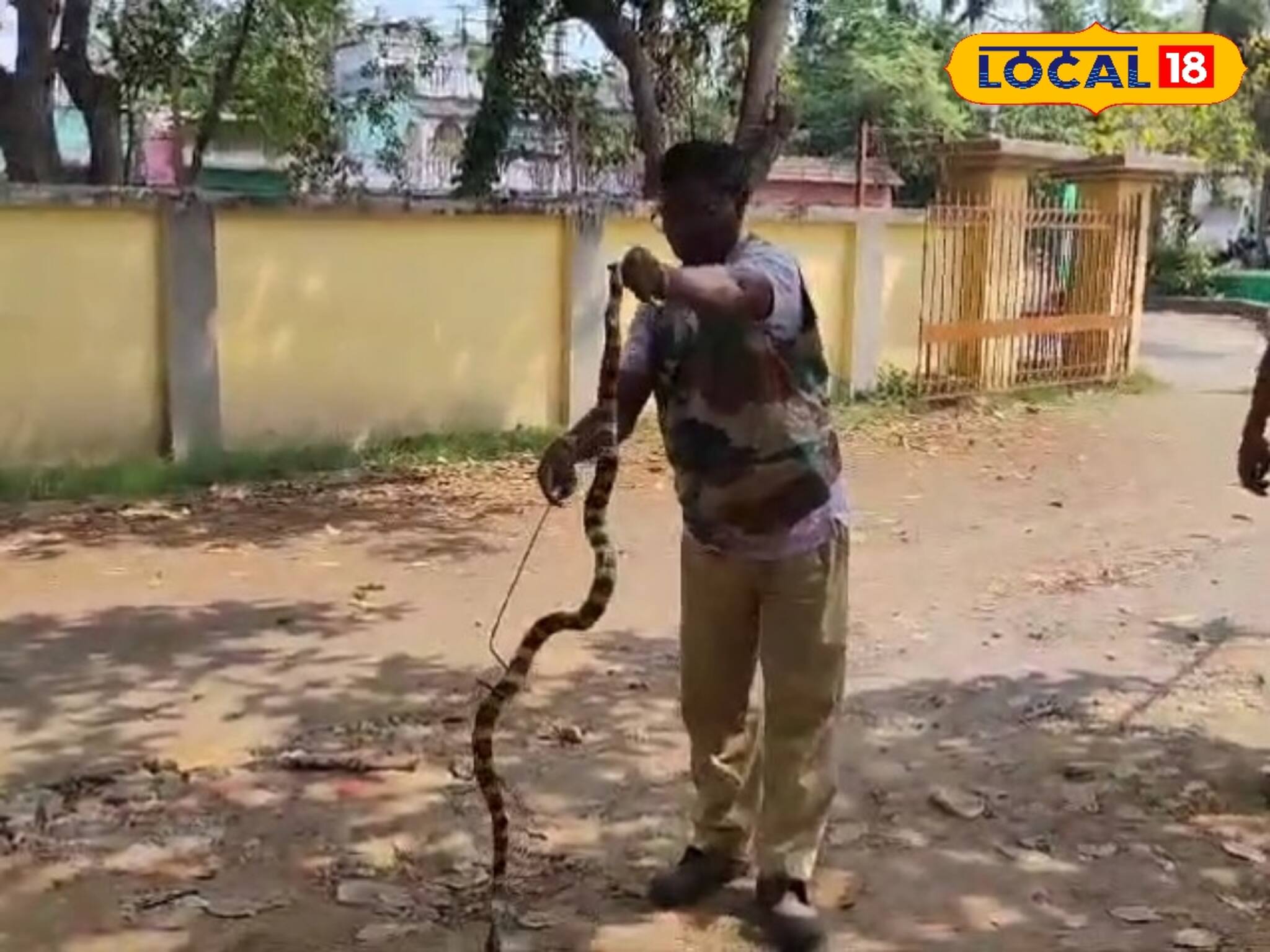 সাক্ষাৎ যমদূত! ৬ ফিট লম্বা, কামড়ালে এক মিনিটে মৃত্যু! সেটা নিয়েই ১৫ কিমি পাড়ি!