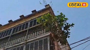 স্কুলের