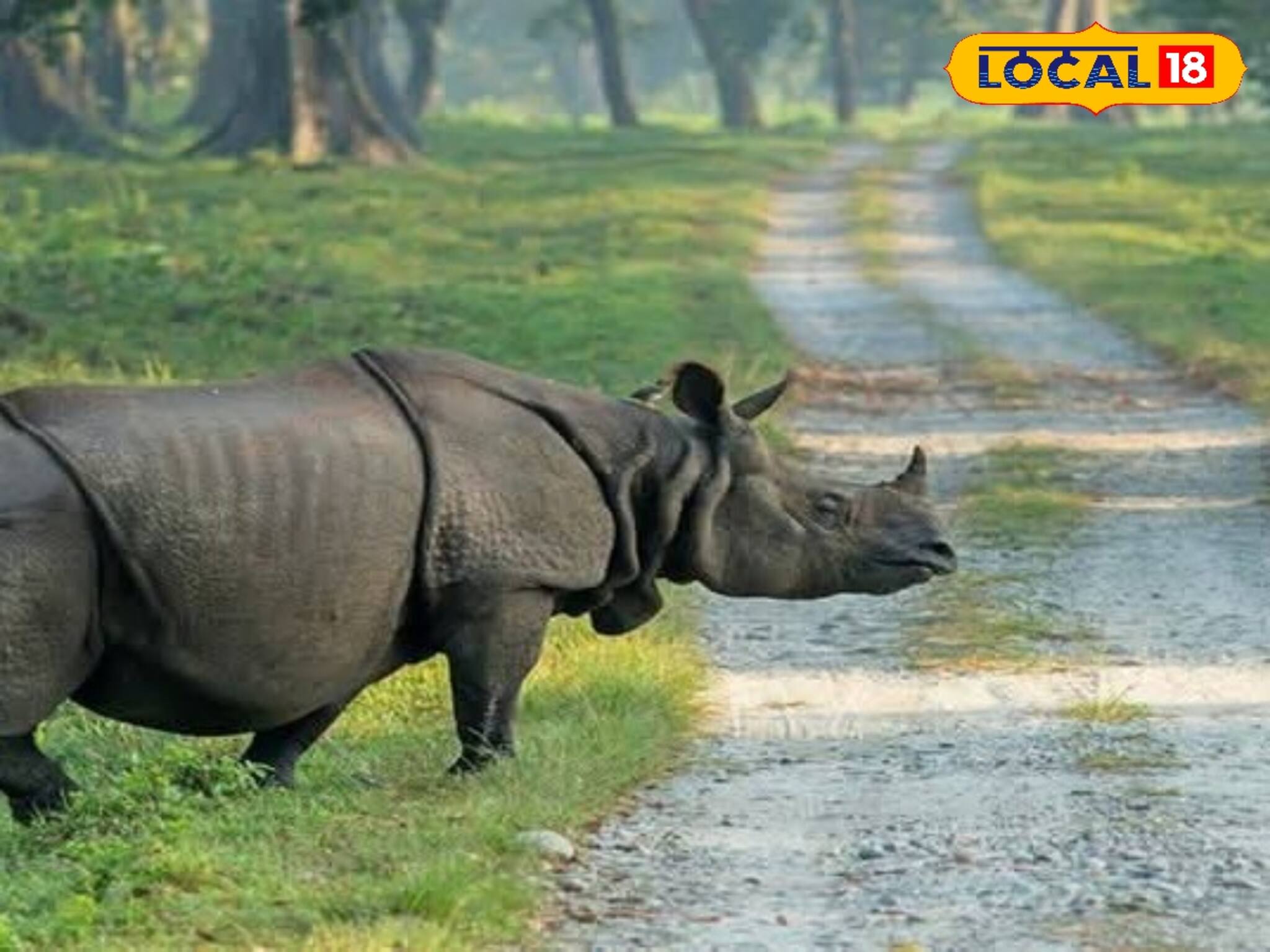 খুশির খবর, রেকর্ড গড়ল বনদফতর, গরুমারা উদ্যানের গন্ডারের সংখ্যা বৃদ্ধি!