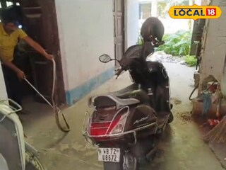 স্কুল থেকে উদ্ধার সাপ স্কুল থেকে উদ্ধার সাপ