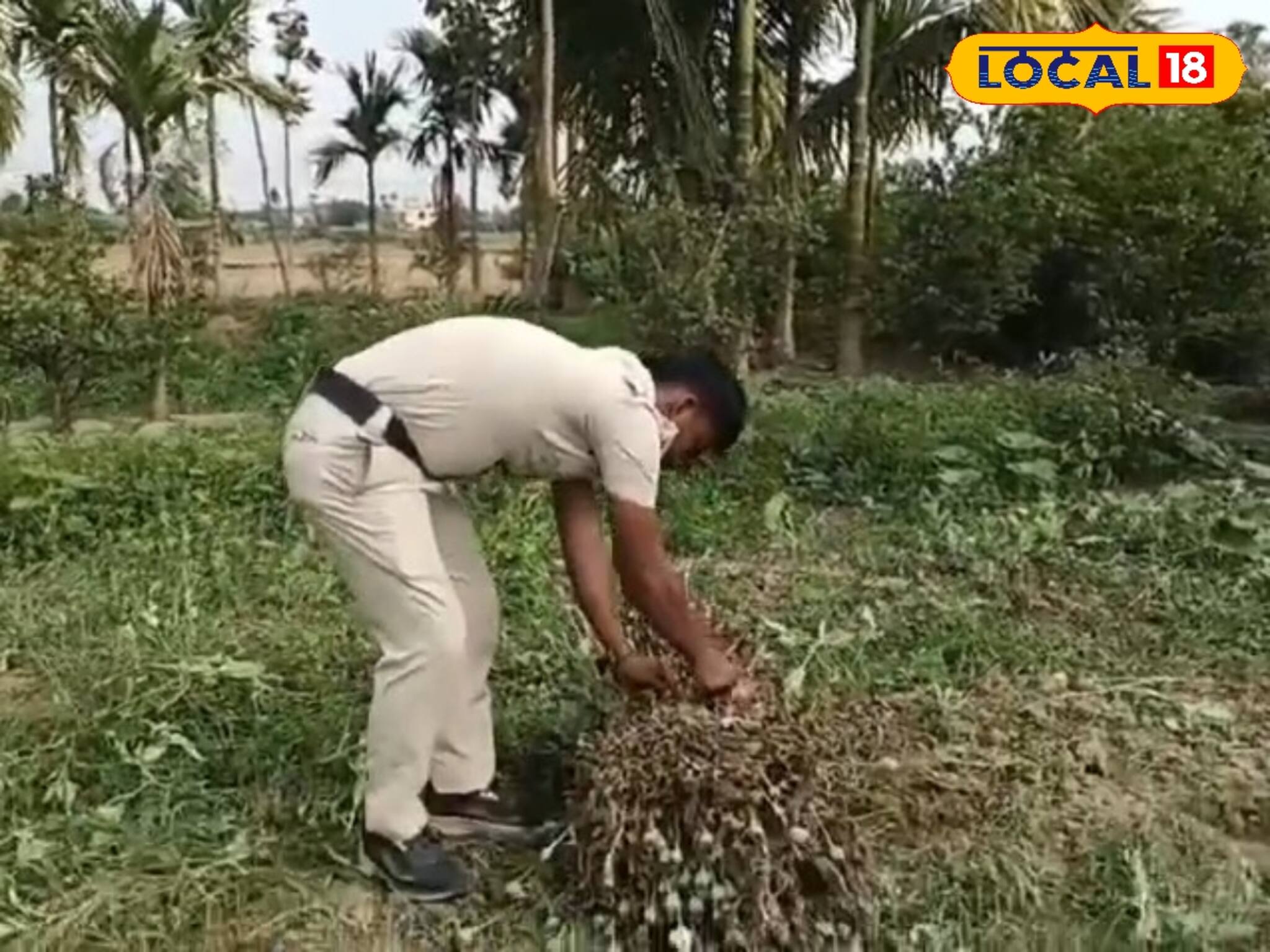 ফুলের নার্সারির মধ্যে ওটা কী? 'টাকার গাছ' দেখেই ছুটে এল পুলিশ! পর্দা ফাঁস