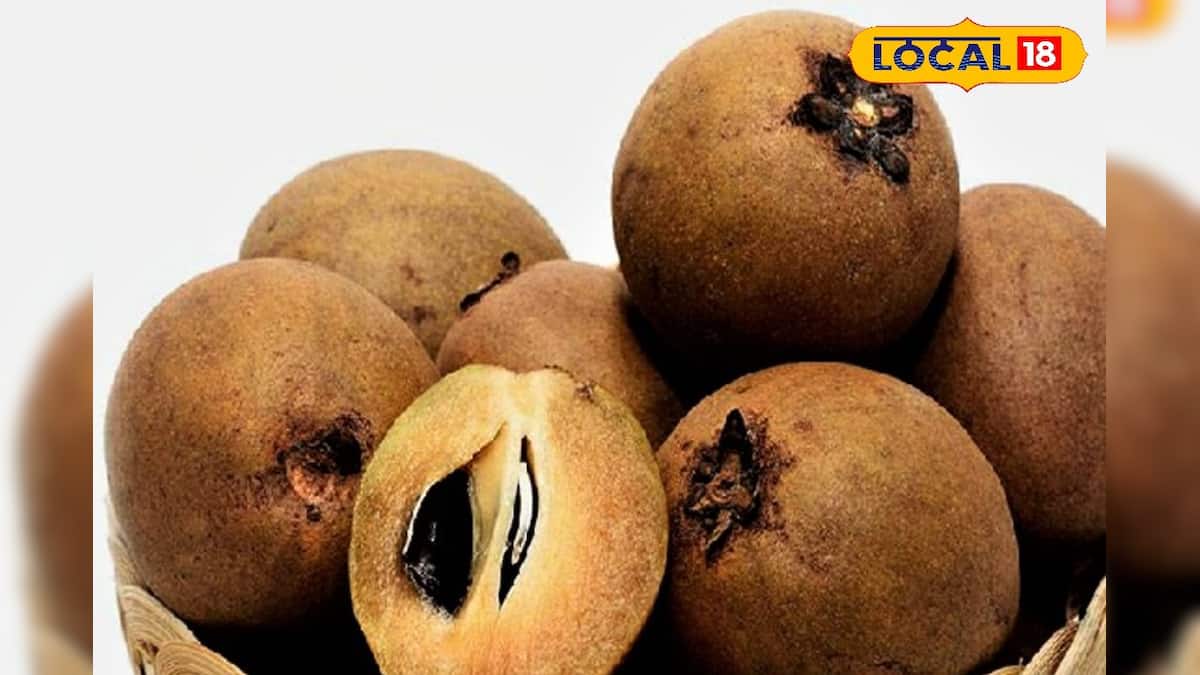 Sabeada Tree Sabeda: গ্রাম বাংলার এই ফল 'পুষ্টির পাওয়ারহাউজ'...! কমায় ডায়াবেটিস ...