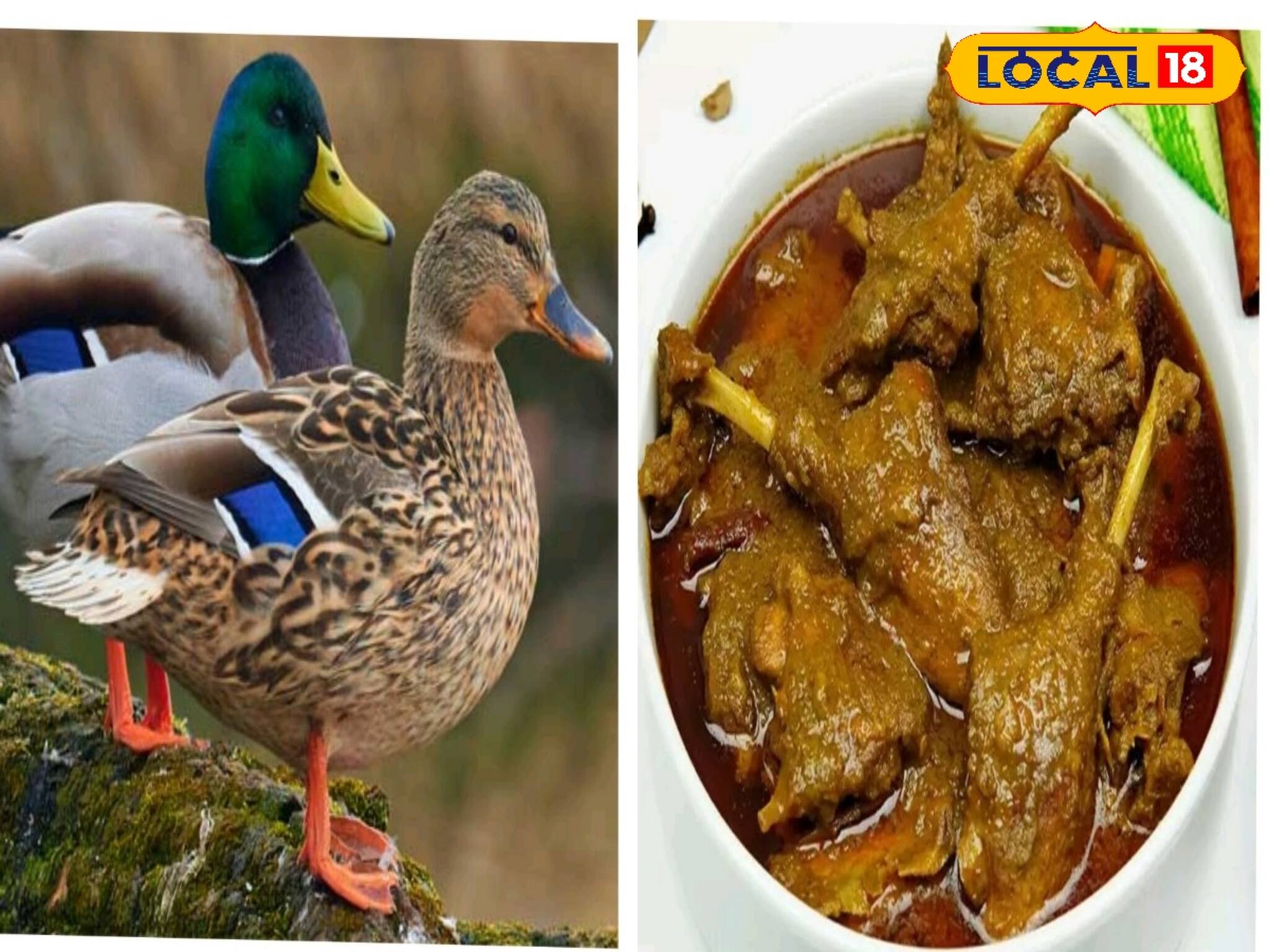 ডায়াবেটিসে ভয়ঙ্কর, হাঁসের মাংস খেয়ে অ্যালার্জি থেকে সাবধান!কারা খেতে পারেন নিশ্চিন্তে?