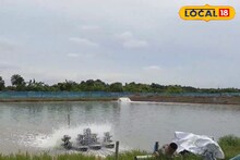 সুন্দরবনে উন্নত প্রজাতির চিংড়ি চাষে জোর মৎস্য দফতরের