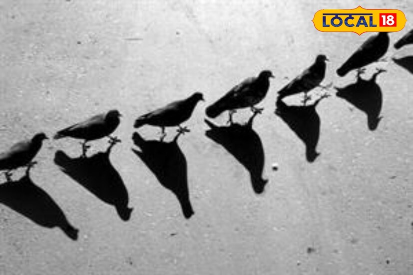 এখন ধরুন আলোর রশ্মি টর্চের আলোর মতো একটি ছোট আলোক উৎস থেকে আসছে এবং একটি দেয়ালে পড়ছে। যদি আমরা এর মাঝখানে একটি শক্ত জিনিস রাখি তাহলে কী হবে? কিছু আলোর রশ্মি বস্তুর প্রান্ত থেকে বেরিয়ে দেয়ালে পৌঁছাবে। কিছু রশ্মি সেই বস্তুতে আঘাত করবে এবং ফিরে আসবে এবং দেয়ালে পৌঁছাবে না।