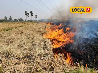 নাড়া পোড়া