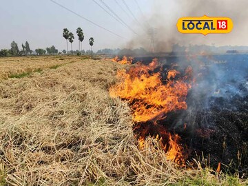 নাড়া পোড়া