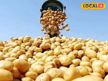 আলু  আলু