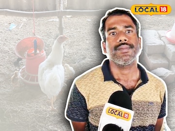 মুরগি