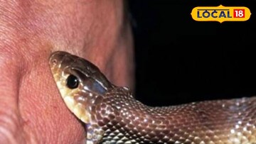 প্রতিকি