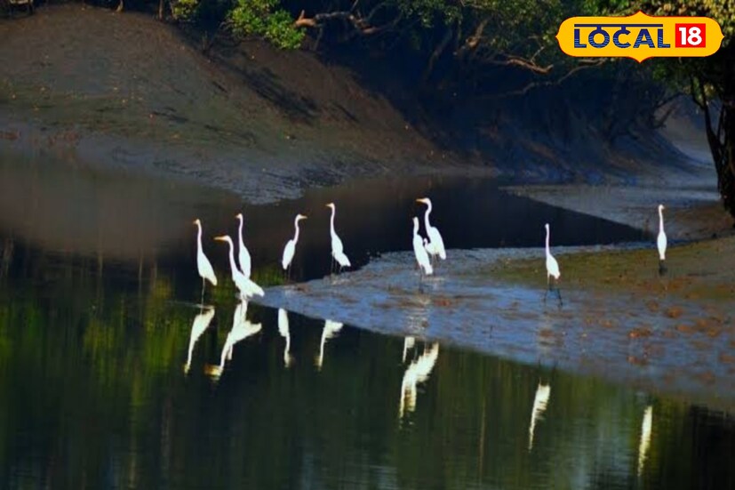 গ্রীষ্মকালে সুন্দরবনে একটু গরম থাকে। কিন্তু পশ্চিমবঙ্গের উত্তরাঞ্চল ছাড়া অন্যান্য অঞ্চলের তুলনায় কম। গরমের সন্ধ্যায় সুন্দরবনের মনোরম বাতাস বড় ভাল লাগে। 