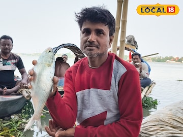 গঙ্গায় জাল ফেললেই উঠছে এত এত ইলিশ! কোন বাজারে গেলে পাবেন এই টাটকা মাছ? দাম কত জানেন? গঙ্গায় জাল ফেললেই উঠছে এত এত ইলিশ! কোন বাজারে গেলে পাবেন এই টাটকা মাছ? দাম কত জানেন?