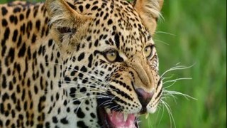 প্রতীকী ছবি৷ 