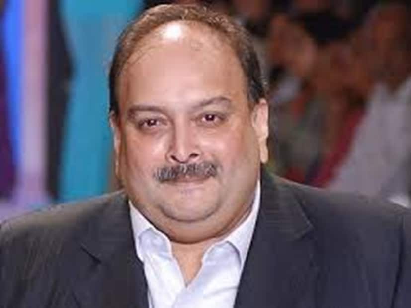 জানা গেল, ভারত থেকে পালিয়ে বর্তমানে বেলজিয়ামে থাকছেন মেহুল চোকসি। তাঁর হদিস মিলতেই পলাতক ওই ব্যবসায়ীকে দেশে ফেরাতে উদ্যোগী হয়েছে ভারত সরকার। এমনটাই সূত্রের খবর।