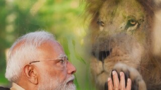 বনতারার উদ্বোধনে মোদি বনতারার উদ্বোধনে মোদি