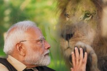 জামনগরে বনতারার উদ্বোধন করে অনন্ত আম্বানির নেওয়া উদ্যোগের প্রশংসায় প্রধানমন্ত্রী মোদি