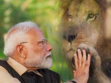 বনতারার উদ্বোধনে মোদি