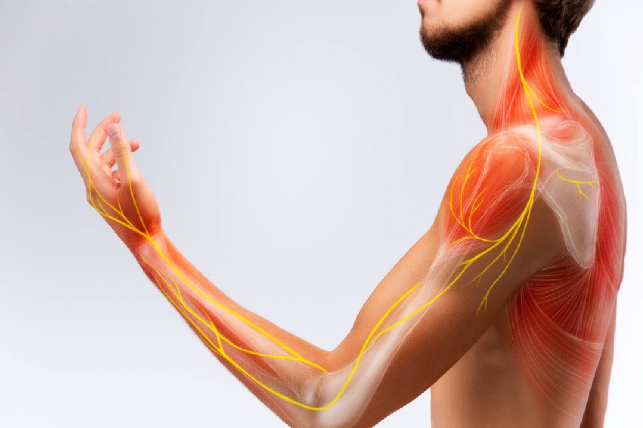 আমরা রোজ করছি এই '৬' ভুল! এতেই ক্ষতিগ্রস্ত স্নায়ুতন্ত্র! আজই সাবধান হন, নচেৎ বড় ক্ষতি