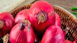 বাংলায় পেঁয়াজ সংরক্ষিত হওয়ায় রাজ্যবাসীর প্রয়োজন মিটবে এবং দামও কমবে