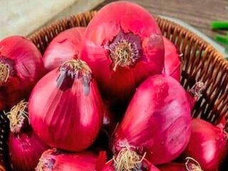 বাংলায় পেঁয়াজ সংরক্ষিত হওয়ায় রাজ্যবাসীর প্রয়োজন মিটবে এবং দামও কমবে