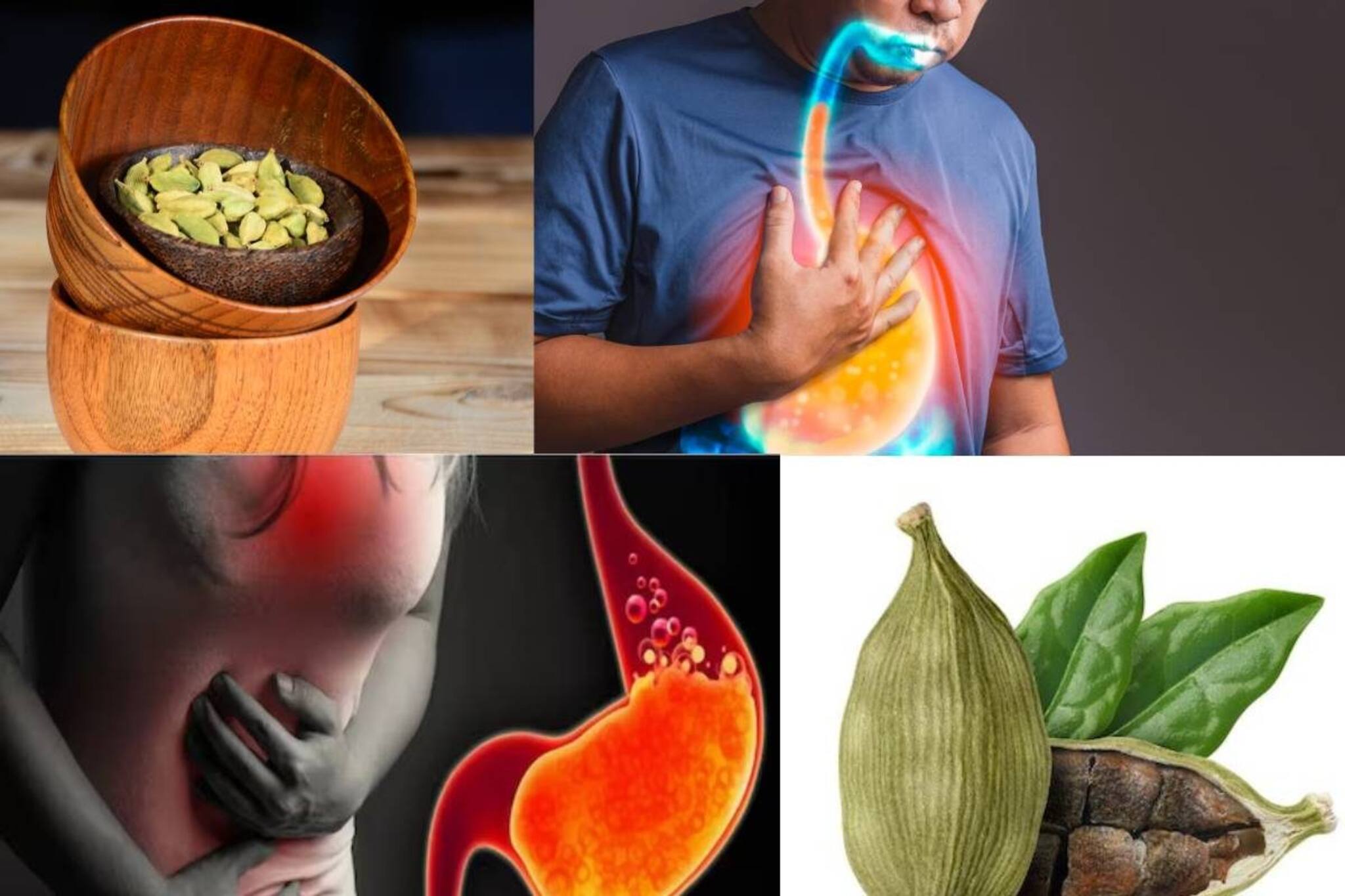 রাতে ঘুমনোর আগে মুখে ফেলুন ২ দানা! সকালে উঠেই ছুটি গ্যাস অম্বল চোঁয়া ঢেকুরের! গলবে মেদও