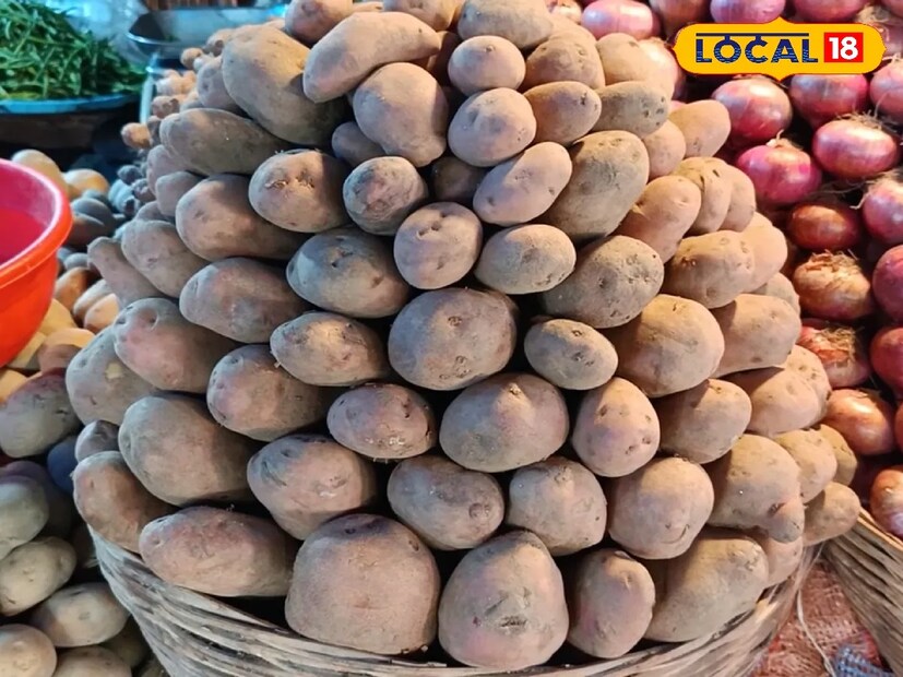 *কৃষি বিজ্ঞানী ড. এ কে সিং বলেন, আলু কোনও গরম জায়গায় রাখা উচিত নয়, কারণ গরম জায়গায় রাখলে আলু নষ্ট হয়ে যাওয়ার সম্ভাবনা বেড়ে যায়, তাই গ্যাস বা উনুনের পাশে, সিঙ্কের নীচে আলু রাখবেন না। সংগৃহীত ছবি। 