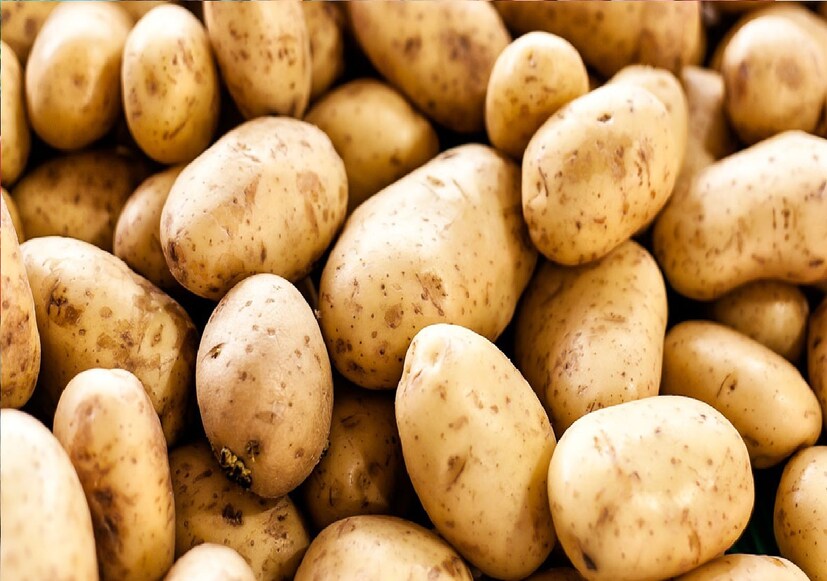 ভাতের মতো আলুতেও স্টার্চ থাকে এবং পুষ্টি-বিরোধী উপাদান সমৃদ্ধ। এগুলো শরীরে সঠিক পরিমাণে পুষ্টি প্রবেশ করতে বাধা দেয়। সেই কারণে কুকারে রান্না করা আলু খাওয়ার কোনও লাভ নেই।