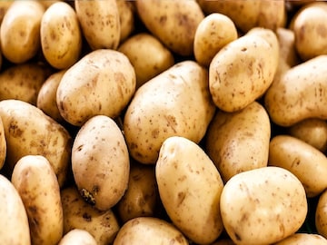 আলু সংরক্ষণের সময়সীমা বাড়াল রাজ্য