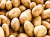 আলু সংরক্ষণের সময়সীমা বাড়াল রাজ্য, চাষিদের স্বার্থরক্ষায় বড় পদক্ষেপ সরকারের