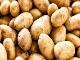 আলু সংরক্ষণের সময়সীমা বাড়াল রাজ্য আলু সংরক্ষণের সময়সীমা বাড়াল রাজ্য