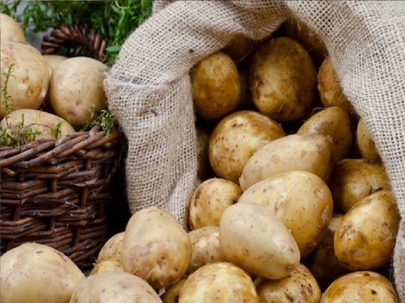 *আরও একটা ভুল ঘরে ঘরে দেখা যায়। সেটা হল একই ঝুড়িতে আলু আর পেঁয়াজ রাখা। আলু আর পেঁয়াজ একসঙ্গে রাখলে আলু নষ্ট হয়ে যাওয়ার সম্ভাবনা বেড়ে যায়। এছাড়া পেঁয়াজের সঙ্গে রাখলে আলু দ্রুত অঙ্কুরিত হতে শুরু করে। সংগৃহীত ছবি। 