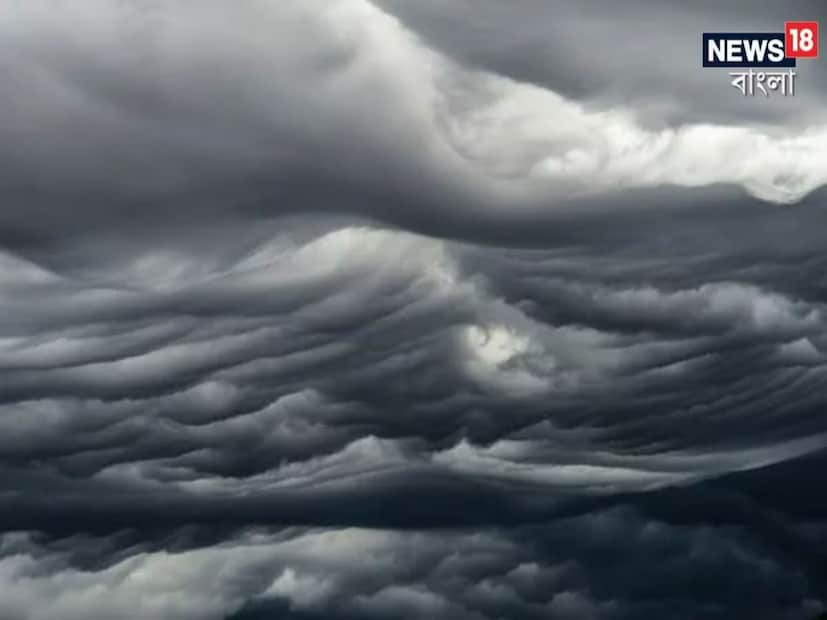 IMD West Bengal Weather: শুক্রবার পর্যন্ত দক্ষিণবঙ্গের ৭ জেলা কাঁপাবে বজ্রবিদ্যুৎ-ঝড়-জল-দুর্যোগ…, ভারী বৃষ্টির হুঁশিয়ারি উত্তরের ৮ জেলায়, কী হবে কলকাতায়? জানাল IMD IMD West Bengal Weather: শুক্রবার পর্যন্ত দক্ষিণবঙ্গের ৭ জেলা কাঁপাবে বজ্রবিদ্যুৎ-ঝড়-জল-দুর্যোগ…, ভারী বৃষ্টির হুঁশিয়ারি উত্তরের ৮ জেলায়, কী হবে কলকাতায়? জানাল IMD