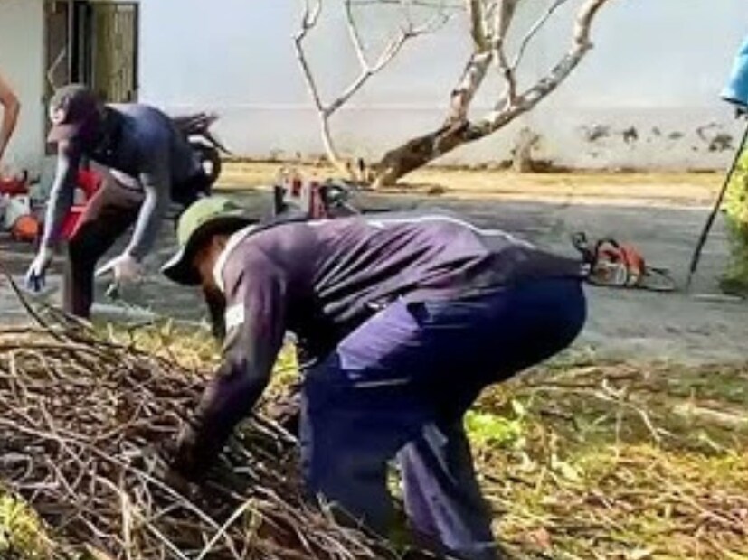 বাগানের আশপাশে কোনও ঝোপঝাড় বা ঘাস থাকলে কেটে ফেলা উচিত। গাছের গোড়া, নর্দমার ধার এই সমস্ত জায়গাগুলি সাফসুতরো রাখা জরুরি। 