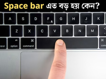 কি-বোর্ডে Space Key এত বড় কেন হয় বলুন তো? ৯৯% লোকজনই ভুল উত্তর দিয়েছেন, উত্তরে বড় চমক কি-বোর্ডে Space Key এত বড় কেন হয় বলুন তো? ৯৯% লোকজনই ভুল উত্তর দিয়েছেন, উত্তরে বড় চমক