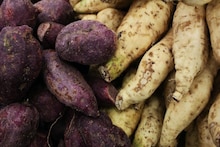 Health Tips: প্রস্রাব করলেই জ্বালাপোড়া, তলপেটে অসহ্য ব্যথা হয়? পুষ্টির 'খনি' এটি...! রোজ ১টা করে খেলেই মিরাকেল, কমায় খারাপ কোলস্টেরলও