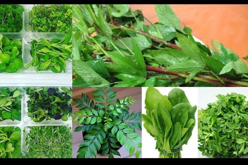 শীতের মরশুমে সবুজ শাক-সবজি প্রচুর পরিমাণে খাওয়া হয়। তবে শাকের স্বাদ ভাল রাখতে চাইলে তাতে টমেটো মেশানোর ভুল করা উচিত নয়। না হলে সবজির স্বাদ নষ্ট হতে পারে।