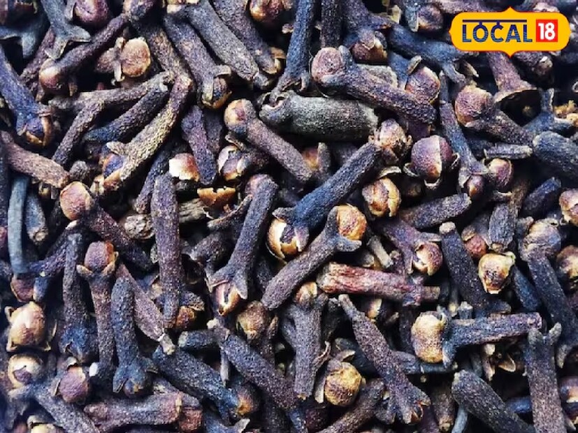 *লবঙ্গ: ডা. দীনেশ চন্দ্র বলেন, লবঙ্গের মধ্যে অ্যান্টিব্যাকটেরিয়াল এবং ব্যথানাশক গুণ রয়েছে। তাই দাঁতের সমস্যা বা পায়োরিয়া দেখা দিলে ২-৩টি লবঙ্গ চিবিয়ে নিতে হবে অথবা মাড়িতে লবঙ্গ তেল লাগাতে হবে। এতে মাড়ির ফোলা ভাব এবং ব্যথা কমে যাবে। দাঁত এবং মাড়ির সমস্যার জন্য লবঙ্গ দীর্ঘ দিন ধরে কার্যকর প্রতিকার হিসেবে বিবেচিত হয়ে আসছে। সংগৃহীত ছবি। 