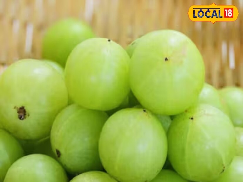 *আমলকি: ওই আয়ুর্বেদ বিশেষজ্ঞের মতে, আমলকি মাড়িকে শক্তিশালী করে এবং দাঁতের স্বাস্থ্যের জন্যও তা সমান ভাবে উপকারী। জলে আমলকির গুঁড়ো মিশিয়ে প্রতিদিন গার্গল করতে হবে অথবা আমলকির রস পান করতে হবে। এতে মাড়ি মজবুত হবে এবং পায়োরিয়ার সমস্যা দূর হবে। সংগৃহীত ছবি।